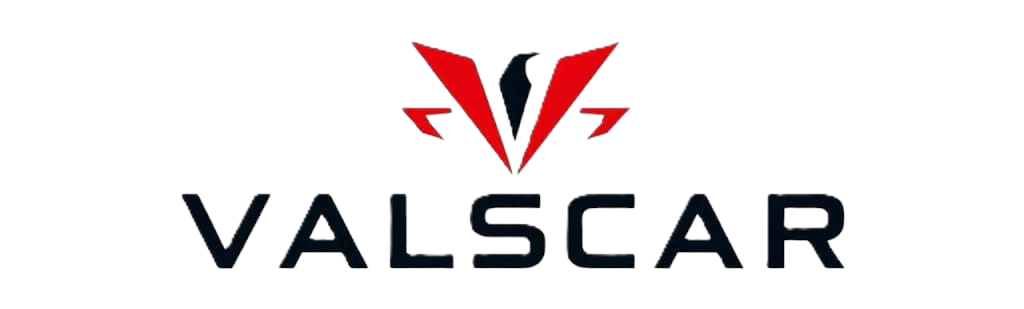 Vals İnternet Bilişim Hizmetleri Limited Şirketi